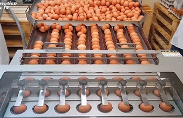Machinery and Equipment  