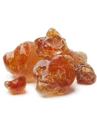 Acacia