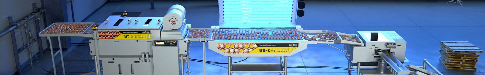 Egg proceses